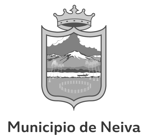 Neiva